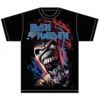 Iron Maiden Wildest Dream Vortex Mens T Shirt: X Large