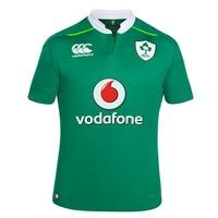 Ireland Rugby VapoDri+ Home Pro Rugby Shirt, N/A