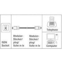 isdn cable 1x rj45 8p4c plug 1x rj45 8p4c plug 150 m black hama