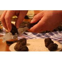 istria truffle cooking and tasting half day experience from koper port ...