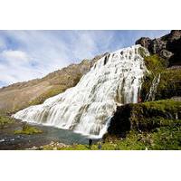 Isafjordur Shore Excursion: Dynjandi Waterfall Tour