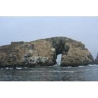 Islands of Lima Sightseeing Crui...