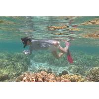 Island Safari Snorkeling by Motor Boat from Fajardo