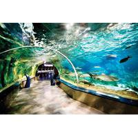 Istanbul Aquarium and Aqua Florya Independent Shopping Trip