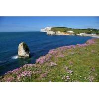 Isle of Wight Overnight Tour from London