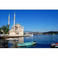Istanbul Shore Excursion: Bosphorus Cruise and Istanbul Egyptian Bazaar