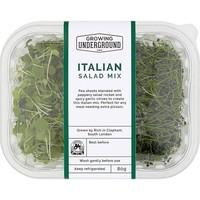 Italian Salad Mix (each)