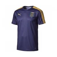 italy 2006 tribute stadium jersey peacot gold