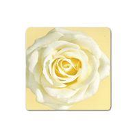 Ivory Rose Greeting Card