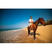 Ixtapa Shore Excursion: Horseback Riding on Zihuatanejo Bay