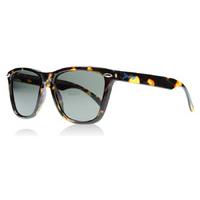 J Banz JBanz Sunglasses Tortoise 02/APUT Polariserade 50mm