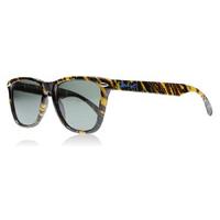 J Banz JBanz Sunglasses Tree Bark 01JF/T Polariserade 50mm