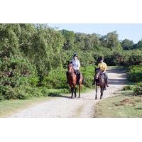 jamaica horseback riding adventure from falmouth