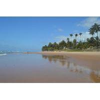 Jaua Beach Hike Tour from Abrant...