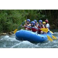 Jamaica River-Rafting Adventure on the Rio Bueno