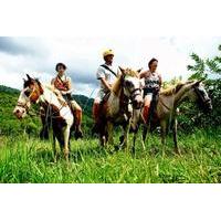 jaco horseback zipline and rappel combo tour