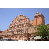 jaipur pink city full day tour including lunch and camel ride