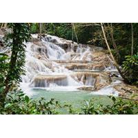 Jamaica Combo Tour: Dunn\'s River Falls and Bob Marley?s Nine Mile