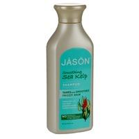 Jason Organic Sea Kelp Shampoo 480ml - 480 ml