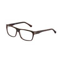 Jaguar Eyeglasses 31805 4019