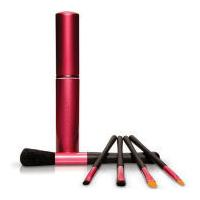 Japonesque Brush Set Touch Up Tube Pink
