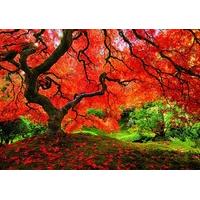 Japanese Garden 1500 Piece Jigsaw Puzzle