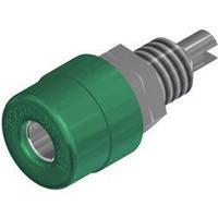 Jack socket Socket, vertical vertical Pin diameter: 4 mm Green SKS Hirschmann BIL 20 GRÜN 1 pc(s)