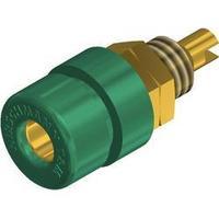 jack socket socket vertical vertical pin diameter 4 mm green sks hirsc ...