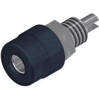 Jack socket Socket, vertical vertical Pin diameter: 4 mm Black SKS Hirschmann BIL 20 SCHWARZ 1 pc(s)