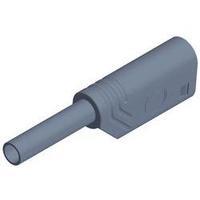 Jack plug Plug, straight Pin diameter: 2 mm Grey SKS Hirschmann MST S WS 30 Au 1 pc(s)