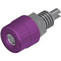 jack socket socket vertical vertical pin diameter 4 mm violet sks hirs ...