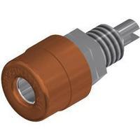 jack socket socket vertical vertical pin diameter 4 mm brown sks hirsc ...