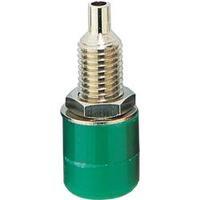 jack socket socket vertical vertical pin diameter 4 mm green bkl elect ...