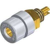 Jack socket Socket, vertical vertical Pin diameter: 4 mm White SKS Hirschmann BIL 30 Au weiß 1 pc(s)