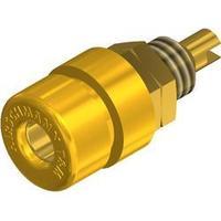 Jack socket Socket, vertical vertical Pin diameter: 4 mm Yellow SKS Hirschmann BIL 30 Au bgelb 1 pc(s)