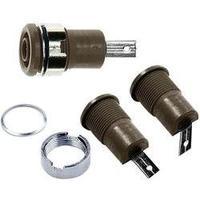 Jack socket Socket, vertical vertical Pin diameter: 4 mm Brown MultiContact SLB4-F/A 1 pc(s)