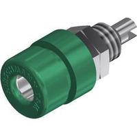 jack socket socket vertical vertical pin diameter 4 mm green sks hirsc ...