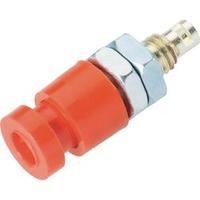 Jack socket Socket, vertical vertical Pin diameter: 2.4 mm Red Schnepp EBU 2424 1 pc(s)