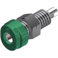 Jack socket Socket, vertical vertical Pin diameter: 4 mm Green SKS Hirschmann BUG 10 1 pc(s)