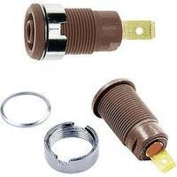 Jack socket Socket, vertical vertical Pin diameter: 4 mm Brown MultiContact SLB4-F 1 pc(s)