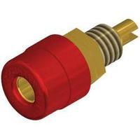 Jack socket Socket, vertical vertical Pin diameter: 4 mm Red SKS Hirschmann BIL 20 rot Au 1 pc(s)