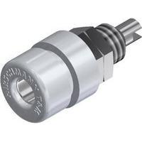 Jack socket Socket, vertical vertical Pin diameter: 4 mm White SKS Hirschmann BIL 30 white 1 pc(s)