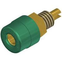 Jack socket Socket, vertical vertical Pin diameter: 4 mm Green SKS Hirschmann BIL 20 grün Au 1 pc(s)