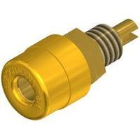 Jack socket Socket, vertical vertical Pin diameter: 4 mm Yellow SKS Hirschmann BIL 20 gelb Au 1 pc(s)