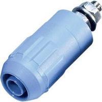 Jack socket Socket, vertical vertical Pin diameter: 4 mm Blue MultiContact XUB-G 1 pc(s)