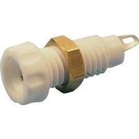 Jack socket Socket, vertical vertical Pin diameter: 4 mm White Cliff CL1464A 1 pc(s)