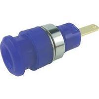 jack socket socket vertical vertical pin diameter 4 mm blue cliff fcr7 ...