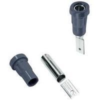 Jack socket Socket, vertical vertical Pin diameter: 4 mm Black MultiContact EB4-B 1 pc(s)