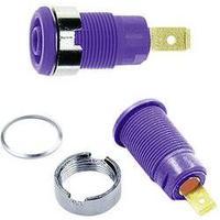 Jack socket Socket, vertical vertical Pin diameter: 4 mm Violet MultiContact SLB4-F 1 pc(s)