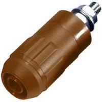 Jack socket Socket, vertical vertical Pin diameter: 4 mm Brown MultiContact XUB-G 1 pc(s)